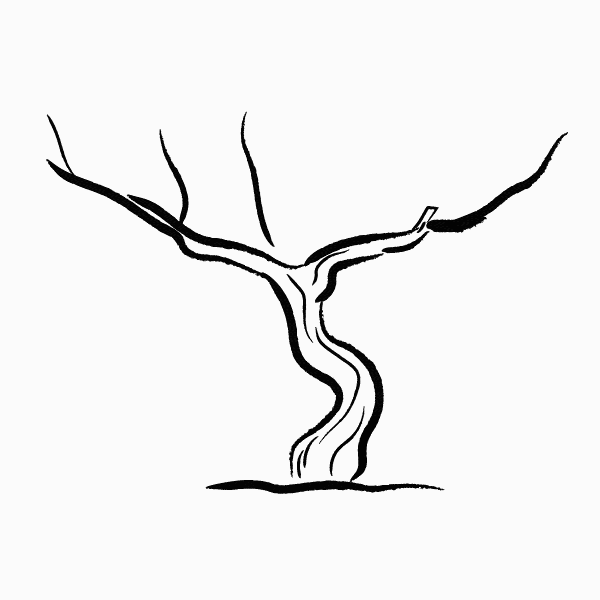 feuille_de_vign-min Animation feuille de vigne